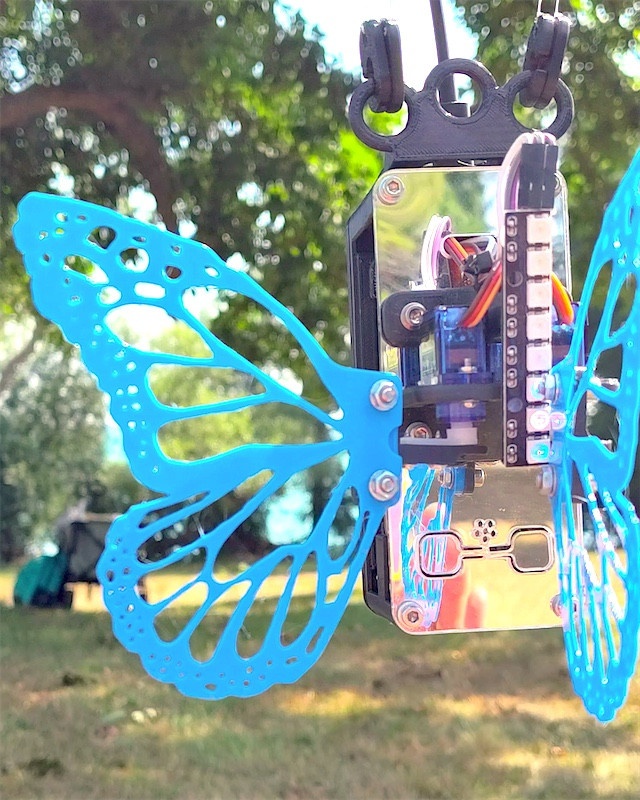 Blue team lil wings hanging