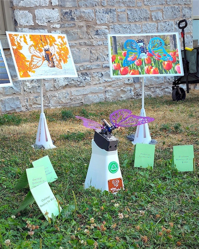 Robot Butterfly set up for the event outside