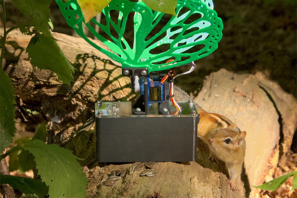 Chipmunk closely inspecting a Robot Butterfly with green wings, out in nature