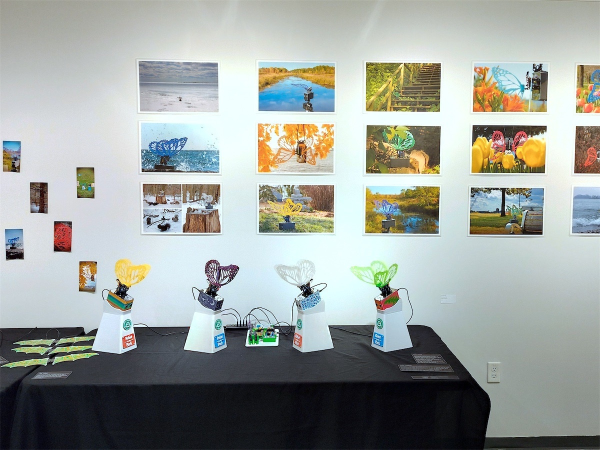 Robot Butterflies on display in the Tett Gallery