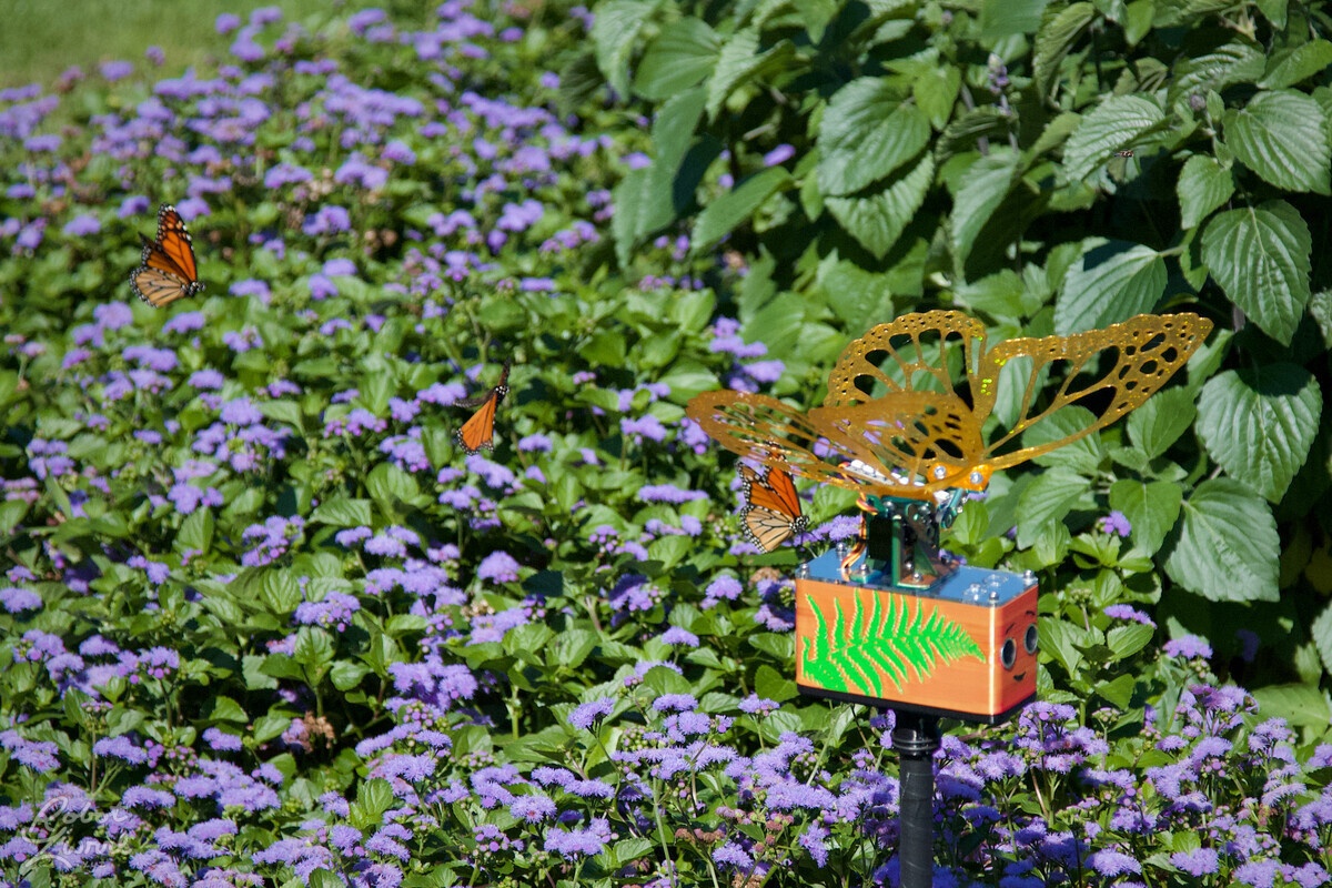 Three butterflies in a row, mid flight, behind Robot Butterfly
