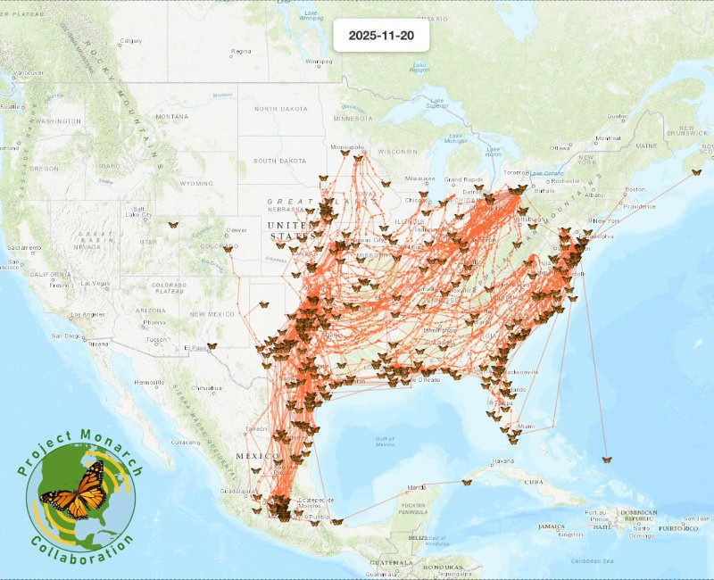 Map with trails of the Monarch butterfly migration
